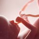 Image for article titled Biggest Misconceptions Men Have About Sexual Reproduction